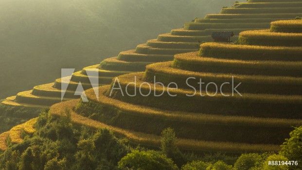 Bild på Beautiful Rice Terraces South East Asia